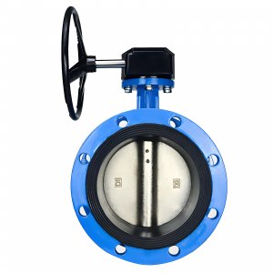 法蘭式蝸輪蝸桿蝶閥DN40，1.6Mpa（橡膠密封